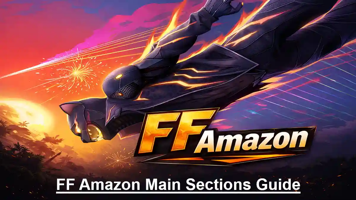 FF Amazon Main Sections Guide
